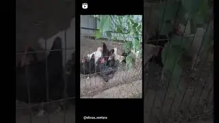 Не волнуйтесь!
