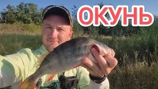 ✅  КАБАНЯЧИЙ  ЛІТНІЙ ОКУНЬ НА СПІНІНГ рибалка на спінінг літом ловля окуня 2023