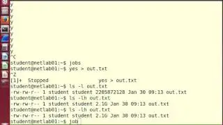 Linux Command Line: Processes (6 of 8)