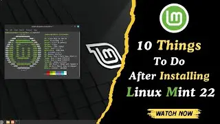 10 Things To Do After Installing Linux Mint 22