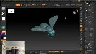 Insect Inspired Creature Design: Lets Talk Bees! – ZBrush 2024