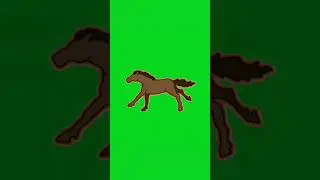 Horse Running Animation chroma key #greenscreen #animation