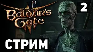 Baldur's Gate 3 - Прохождение. Сложность Тактика. Зачистка Темного Склепа. Иссохший