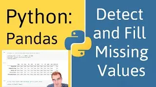 How to Detect and Fill Missing Values in Pandas (Python)