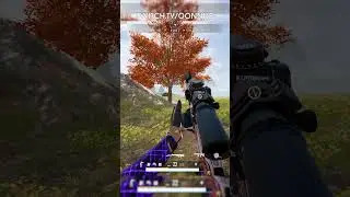 ИДЕАЛЬНЫЙ СПРЭЙ С АУГА в PUBG😄🤯