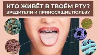 Кто живёт в твоём рту? Вредители и приносящие пользу.