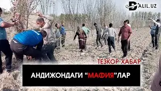 АНДИЖОН! ШАХРИХОНДАГИ БУ ЗЎРАВОНЛАР 