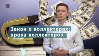 Закон о коллекторах: права коллекторов. Юридическая консультация RosCo