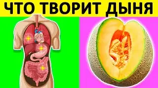 Что происходит с ТЕЛОМ, когда Вы едите ДЫНЮ? Польза и вред дыни