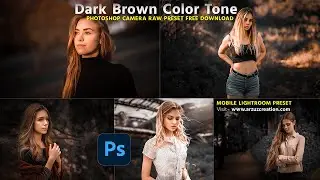 Dark Brown Color Tone Photoshop Camera Raw Presets Free Download 2024