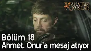 Ahmet, Onur'a mesaj atıyor!  - Kanatsız Kuşlar 18. Bölüm