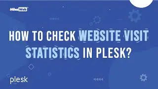 How to Check Website Visit Statistics in Plesk? | MilesWeb