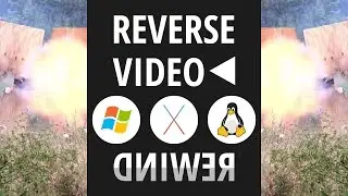 Reverse Video ◄ Easy Tutorial Windows/Mac OS X/Linux