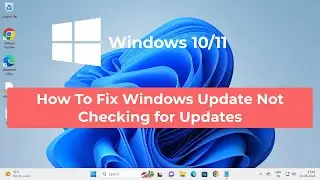 How To Fix Windows Update Not Checking for Updates on Windows 10/11