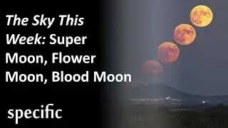 The Sky This Week  Super Moon Flower Moon Blood Moon