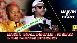 MARVIN DI BEAST  SMALL TIGALIN , SHEBADA AND ONSTAGE