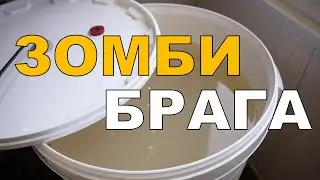 Брага на дрожжевом осадке. Незапланированный НЕудачный эксперимент. ГХ анализ полученного сырца.