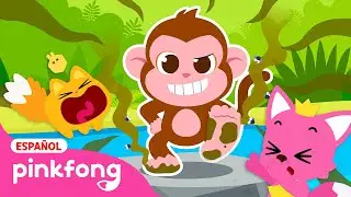 ¡El Mono No Se Lava el Pie! | Canción Divertida de las Vocales | Canciones de la Selva | Pinkfong
