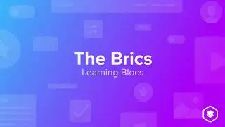The Brics in Blocs 4