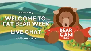 Welcome to Fat Bear Week 2024 | Brooks Live Chat