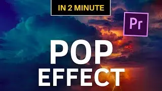 How To Make Text Pop Up In Premiere Pro - 2 Minute Tutorial