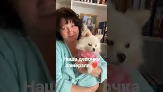 Всех с 9 мая, мирного неба, добра и любви❤ 