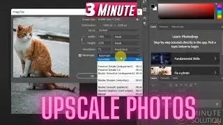 How to Upscale Photos in Photoshop 2024