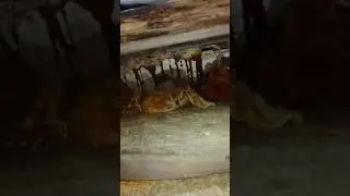 ИЗБА С СЮРПРИЗОМ.