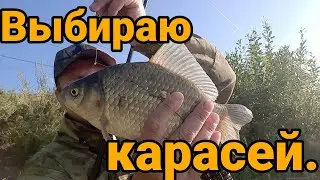 Выбираю карасей.
