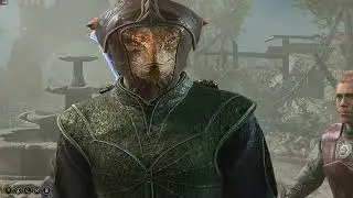 Baldur's Gate 3, Выломал дверь и ля довольный.