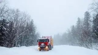 Антиреспект