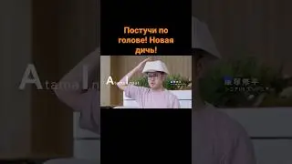 Постучи по голове! Новая дичь!