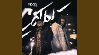 Соты