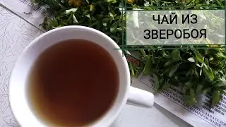 ЧАЙ ИЗ ЗВЕРОБОЯ / Как правильно заваривать ЗВЕРОБОЙ