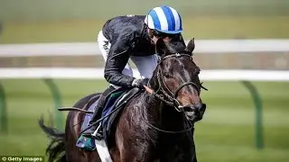 Trainer Mark Johnston believes Elarqam is the 'perfect horse' for Qipco 2,000 Guineas at