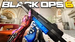 The New Guns In Black Ops 6 Are Insane!