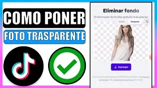 🔴como poner una foto de perfil transparente en tiktok