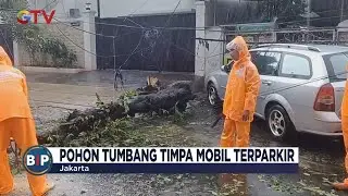 [FULL] Pohon Tumbang Timpa Mobil Terparkir Terekam CCTV - BIP 07/01