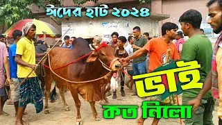 Bhai koto Nilo 2024 || Sirajganj Gas Line Gorur haat 2024 Part-48 || Qurbani Cow price in Bangladesh