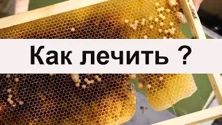 Пасека #45 Гнилец или нет, но лечить надо - болезнь пчел Пасека Пчеловодство.