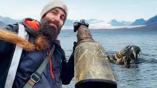 Fotografío Animales Salvajes en SVALBARD!