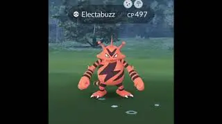 Some Pokémon Go catches!