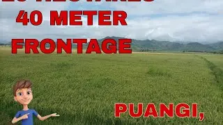 #16A-235 2 Hectares only 40 meter Frontage, Puangi, Dipaculao