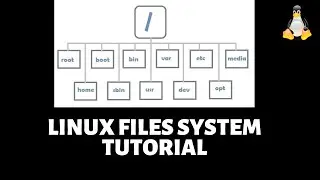 Linux File System Explained
