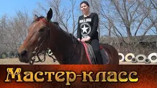 Конный спорт. 