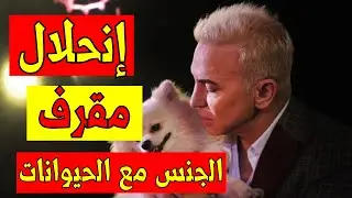 الجنس مع الحيوانات الزوفيليا: عندما يمارس الإنسان الجنس مع الحيوان