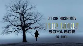 Audio kitob | Nur borki soya bor 25-trek | O'tkir Hoshimov