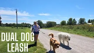 This dual leash is a game changer if you have 2 dogs
