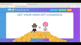 Let's Know about how amazing the Coin Dogs NFT Game is!