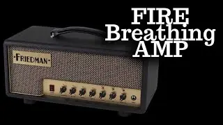 VERSATILE AS F@^% - Friedman Runt 20 - 20-watt EL84 Tube Head Demo with HH & SSS Guitars